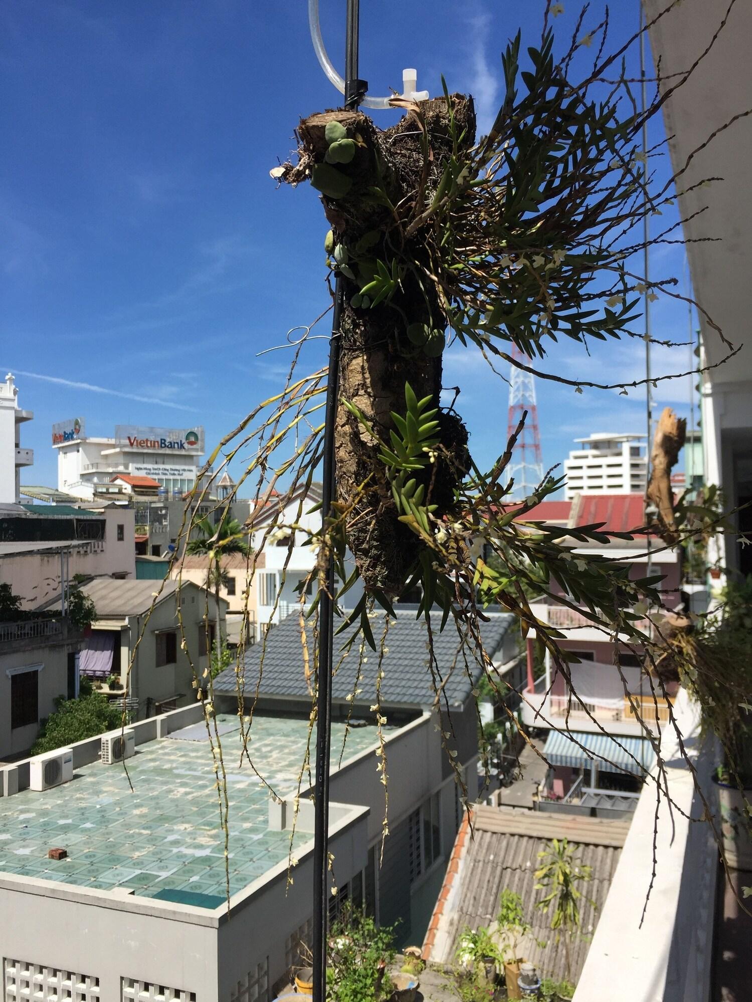 Sunny A Hotel Hue Exterior foto